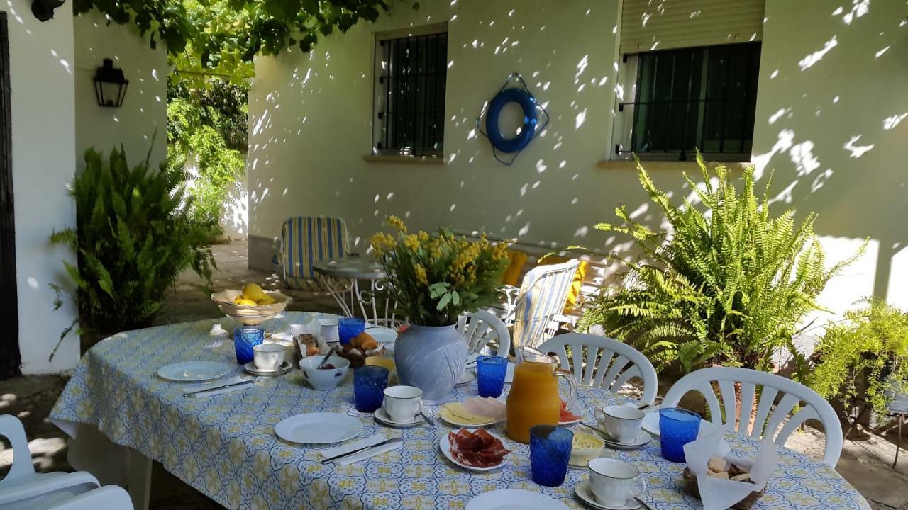 Chalet Junto Playa Y Centro Sanlúcar de Barrameda Eksteriør billede